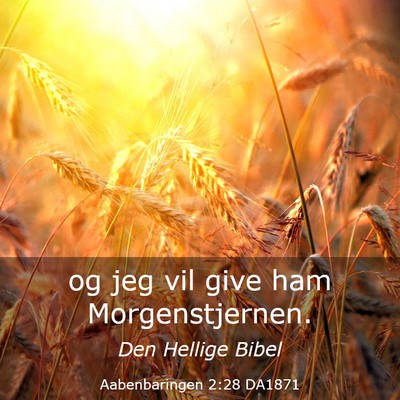 Picture 03 - Aabenbaringen 2:28 DA1871 - og jeg vil give ham - Bible Verse Picture