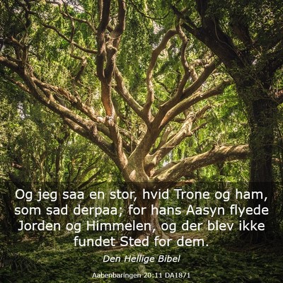 Picture 03 - Aabenbaringen 20:11 DA1871 - Og jeg saa en stor, hvid Trone og ham, som sad - Bible Verse Picture