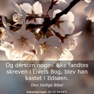 Picture 03 - Aabenbaringen 20:15 DA1871 - Og dersom nogen ikke fandtes skreven i Livets - Bible Verse Picture