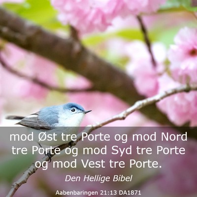 Picture 03 - Aabenbaringen 21:13 DA1871 - mod Øst tre Porte og mod Nord tre Porte og mod - Bible Verse Picture