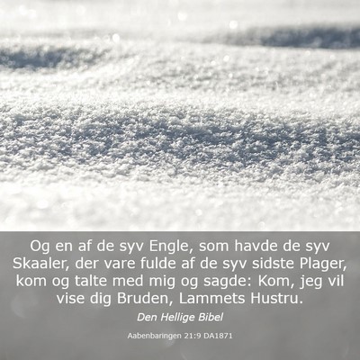 Picture 03 - Aabenbaringen 21:9 DA1871 - Og en af de syv Engle, som havde de syv Skaaler, - Bible Verse Picture