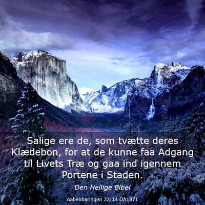 Picture 03 - Aabenbaringen 22:14 DA1871 - Salige ere de, som tvætte deres Klædebon, for - Bible Verse Picture