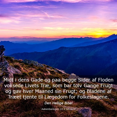 Picture 03 - Aabenbaringen 22:2 DA1871 - Midt i dens Gade og paa begge Sider af Floden - Bible Verse Picture
