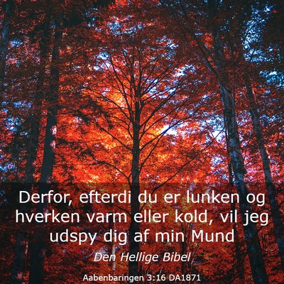 Picture 03 - Aabenbaringen 3:16 DA1871 - Derfor, efterdi du er lunken og hverken varm - Bible Verse Picture