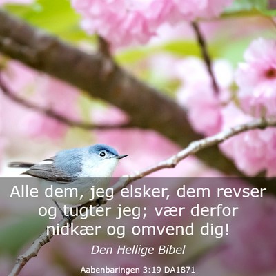 Picture 03 - Aabenbaringen 3:19 DA1871 - Alle dem, jeg elsker, dem revser og tugter jeg; - Bible Verse Picture