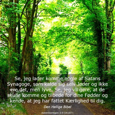 Picture 03 - Aabenbaringen 3:9 DA1871 - Se, jeg lader komme nogle af Satans Synagoge, som - Bible Verse Picture