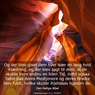 Picture 03 - Aabenbaringen 6:11 DA1871 - Og der blev givet dem hver især en lang hvid - Bible Verse Picture