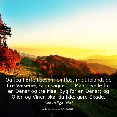 Picture 03 - Aabenbaringen 6:6 DA1871 - Og jeg hørte ligesom en Røst midt iblandt de - Bible Verse Picture