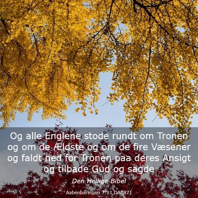 Picture 03 - Aabenbaringen 7:11 DA1871 - Og alle Englene stode rundt om Tronen og om de - Bible Verse Picture