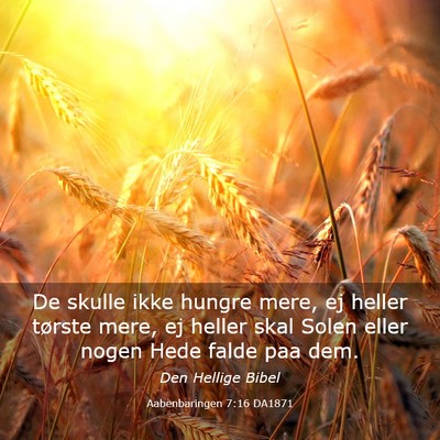 Picture 03 - Aabenbaringen 7:16 DA1871 - De skulle ikke hungre mere, ej heller tørste - Bible Verse Picture