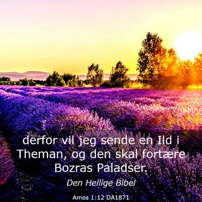 Picture 03 - Amos 1:12 DA1871 - derfor vil jeg sende en Ild i Theman, og den skal - Bible Verse Picture