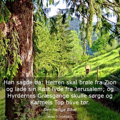 Picture 03 - Amos 1:2 DA1871 - Han sagde da: Herren skal brøle fra Zion og lade - Bible Verse Picture