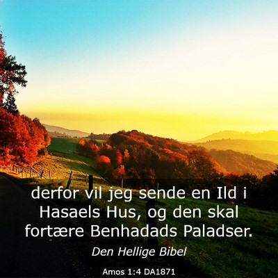 Picture 03 - Amos 1:4 DA1871 - derfor vil jeg sende en Ild i Hasaels Hus, og den - Bible Verse Picture