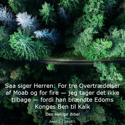 Picture 03 - Amos 2:1 DA1871 - Saa siger Herren: For tre Overtrædelser af Moab - Bible Verse Picture