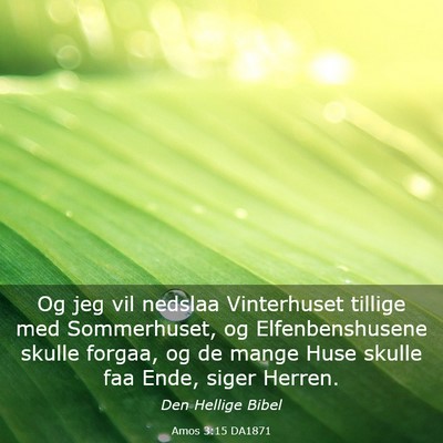 Picture 03 - Amos 3:15 DA1871 - Og jeg vil nedslaa Vinterhuset tillige med - Bible Verse Picture