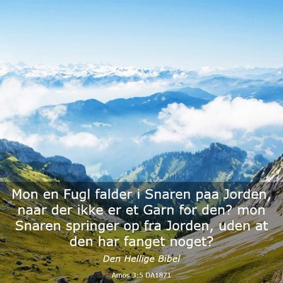 Picture 03 - Amos 3:5 DA1871 - Mon en Fugl falder i Snaren paa Jorden, naar der - Bible Verse Picture