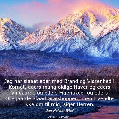 Picture 03 - Amos 4:9 DA1871 - Jeg har slaaet eder med Brand og Vissenhed i - Bible Verse Picture