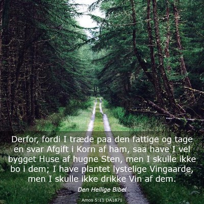 Picture 03 - Amos 5:11 DA1871 - Derfor, fordi I træde paa den fattige og tage en - Bible Verse Picture