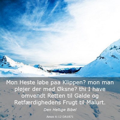 Picture 03 - Amos 6:12 DA1871 - Mon Heste løbe paa Klippen? mon man pløjer der - Bible Verse Picture