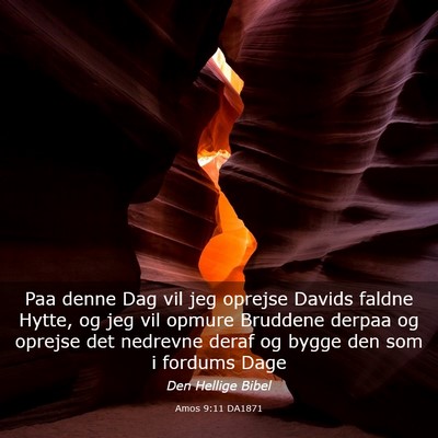 Picture 03 - Amos 9:11 DA1871 - Paa denne Dag vil jeg oprejse Davids faldne - Bible Verse Picture