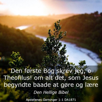 Picture 03 - Apostlenes Gerninger 1:1 DA1871 - Den første Bog skrev jeg, o Theofilus! om alt - Bible Verse Picture