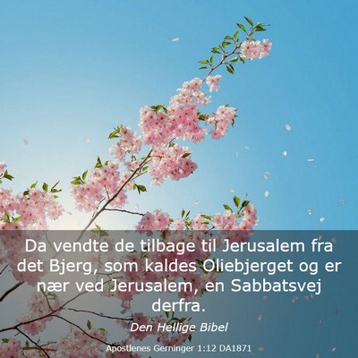 Picture 03 - Apostlenes Gerninger 1:12 DA1871 - Da vendte de tilbage til Jerusalem fra det Bjerg, - Bible Verse Picture