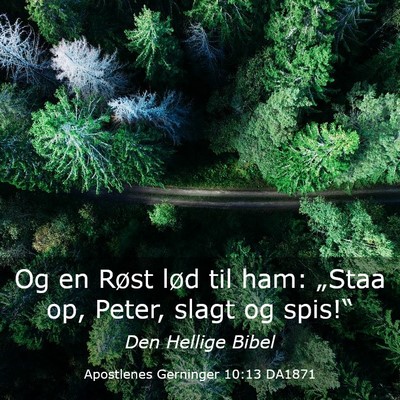 Picture 03 - Apostlenes Gerninger 10:13 DA1871 - Og en Røst lød til ham: „Staa op, Peter, - Bible Verse Picture