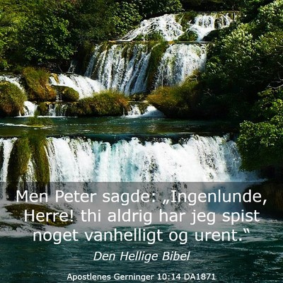 Picture 03 - Apostlenes Gerninger 10:14 DA1871 - Men Peter sagde: „Ingenlunde, Herre! thi aldrig - Bible Verse Picture