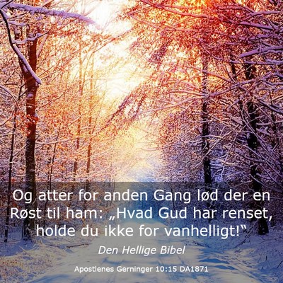 Picture 03 - Apostlenes Gerninger 10:15 DA1871 - Og atter for anden Gang lød der en Røst til - Bible Verse Picture