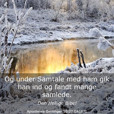 Picture 03 - Apostlenes Gerninger 10:27 DA1871 - Og under Samtale med ham gik han ind og fandt - Bible Verse Picture