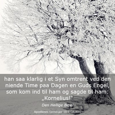 Picture 03 - Apostlenes Gerninger 10:3 DA1871 - han saa klarlig i et Syn omtrent ved den niende - Bible Verse Picture