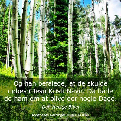 Picture 03 - Apostlenes Gerninger 10:48 DA1871 - Og han befalede, at de skulde døbes i Jesu - Bible Verse Picture