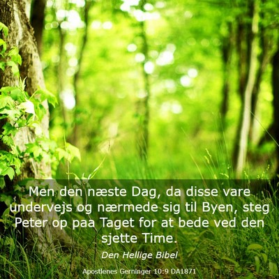 Picture 03 - Apostlenes Gerninger 10:9 DA1871 - Men den næste Dag, da disse vare undervejs og - Bible Verse Picture