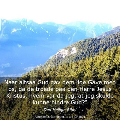 Picture 03 - Apostlenes Gerninger 11:17 DA1871 - Naar altsaa Gud gav dem lige Gave med os, da de - Bible Verse Picture