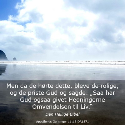 Picture 03 - Apostlenes Gerninger 11:18 DA1871 - Men da de hørte dette, bleve de rolige, og de - Bible Verse Picture