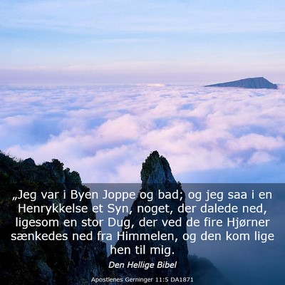Picture 03 - Apostlenes Gerninger 11:5 DA1871 - „Jeg var i Byen Joppe og bad; og jeg saa i en - Bible Verse Picture