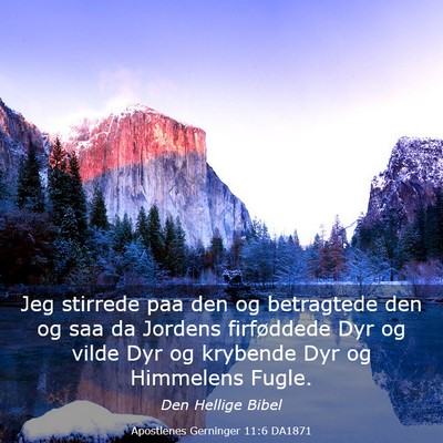 Picture 03 - Apostlenes Gerninger 11:6 DA1871 - Jeg stirrede paa den og betragtede den og saa da - Bible Verse Picture
