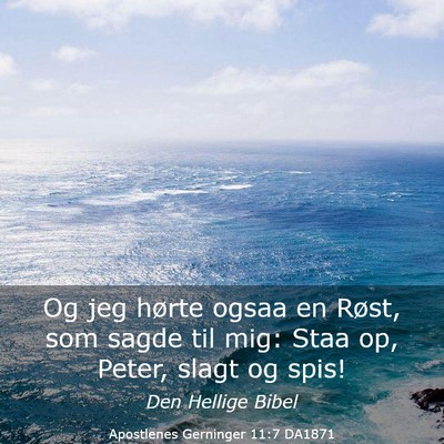 Picture 03 - Apostlenes Gerninger 11:7 DA1871 - Og jeg hørte ogsaa en Røst, som sagde til mig: - Bible Verse Picture