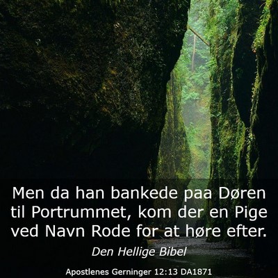 Picture 03 - Apostlenes Gerninger 12:13 DA1871 - Men da han bankede paa Døren til Portrummet, kom - Bible Verse Picture