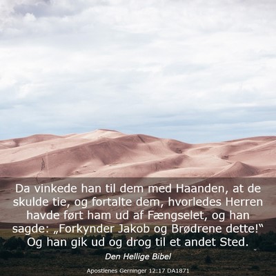 Picture 03 - Apostlenes Gerninger 12:17 DA1871 - Da vinkede han til dem med Haanden, at de skulde - Bible Verse Picture