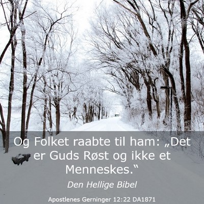 Picture 03 - Apostlenes Gerninger 12:22 DA1871 - Og Folket raabte til ham: „Det er Guds Røst og - Bible Verse Picture