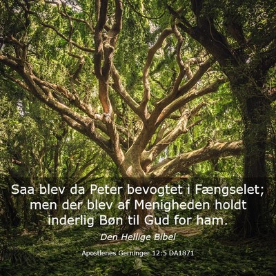 Picture 03 - Apostlenes Gerninger 12:5 DA1871 - Saa blev da Peter bevogtet i Fængselet; men der - Bible Verse Picture