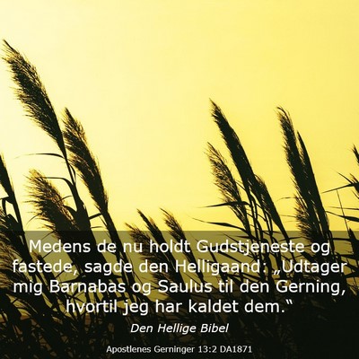 Picture 03 - Apostlenes Gerninger 13:2 DA1871 - Medens de nu holdt Gudstjeneste og fastede, sagde - Bible Verse Picture