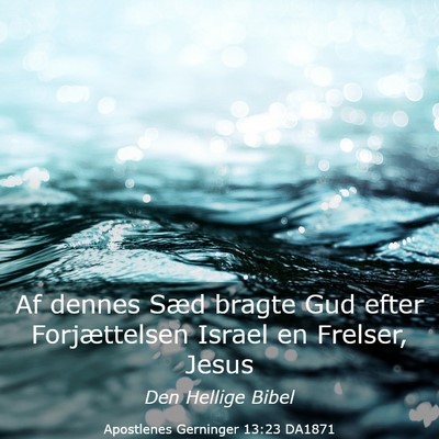 Picture 03 - Apostlenes Gerninger 13:23 DA1871 - Af dennes Sæd bragte Gud efter Forjættelsen - Bible Verse Picture