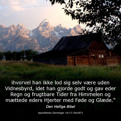 Picture 03 - Apostlenes Gerninger 14:17 DA1871 - ihvorvel han ikke lod sig selv være uden - Bible Verse Picture