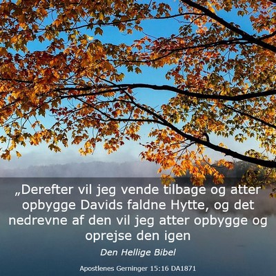 Picture 03 - Apostlenes Gerninger 15:16 DA1871 - „Derefter vil jeg vende tilbage og atter - Bible Verse Picture