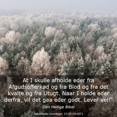 Picture 03 - Apostlenes Gerninger 15:29 DA1871 - At I skulle afholde eder fra Afgudsofferkød og - Bible Verse Picture