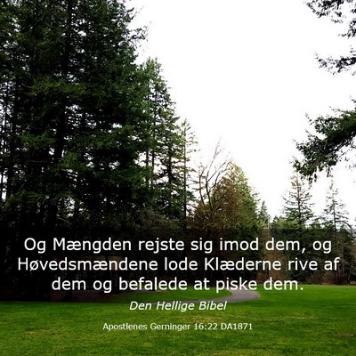 Picture 03 - Apostlenes Gerninger 16:22 DA1871 - Og Mængden rejste sig imod dem, og - Bible Verse Picture