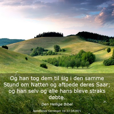 Picture 03 - Apostlenes Gerninger 16:33 DA1871 - Og han tog dem til sig i den samme Stund om - Bible Verse Picture