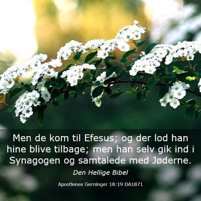 Picture 03 - Apostlenes Gerninger 18:19 DA1871 - Men de kom til Efesus; og der lod han hine blive - Bible Verse Picture